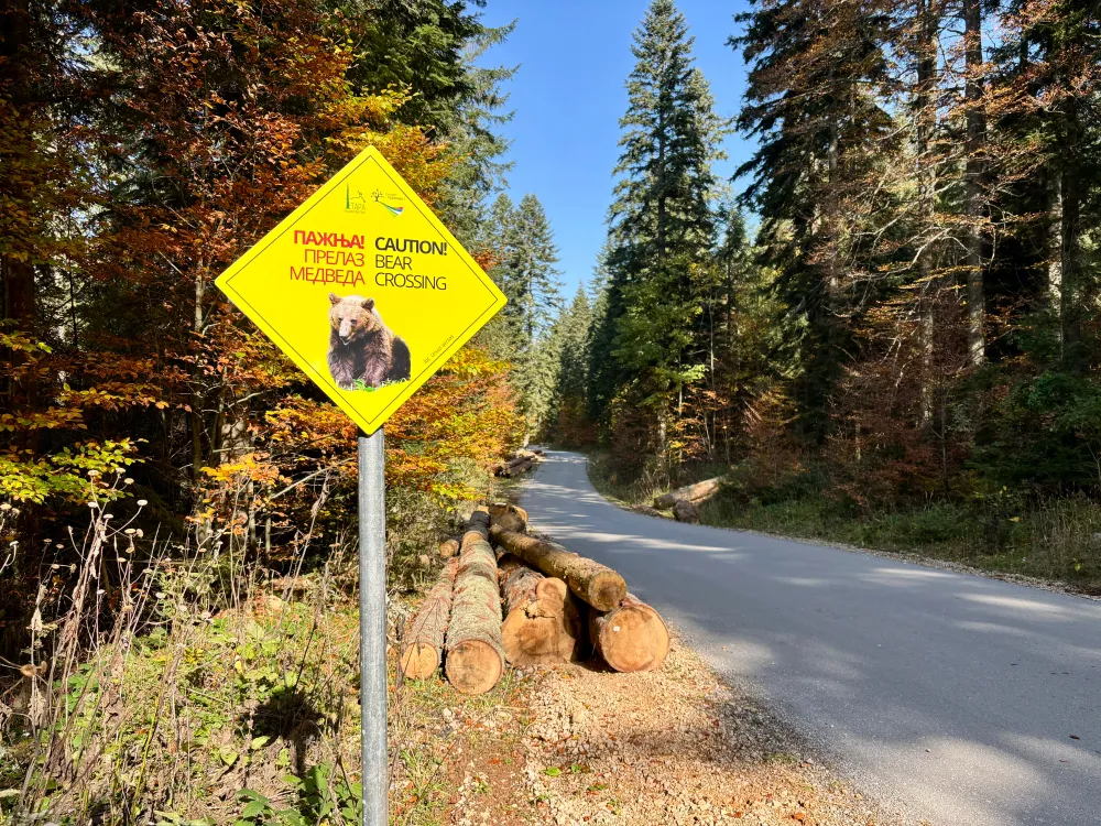 Watch out for bears sign next to the road in Tara National Park